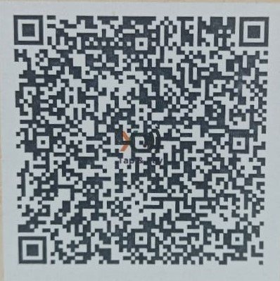 UPI QR Code